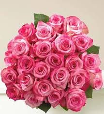 36 pink roses in a bouquet