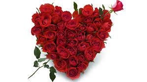 valentine day heart of 50 Red roses
