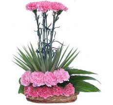 50 carnations arrangement
