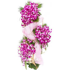 Orchids Stand