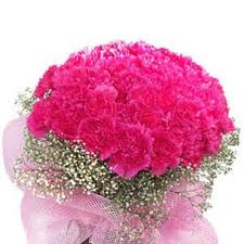 3 dozen Pink carnations