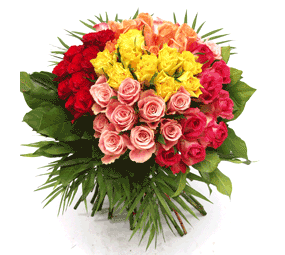 100 multi color roses basket