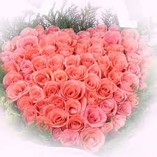 100 pink roses heart