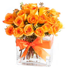 Orange roses vase