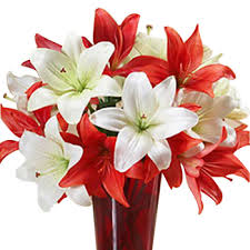 Mix Lilies vase
