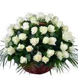 50 white roses arrangement