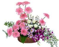 Flowers in a basket