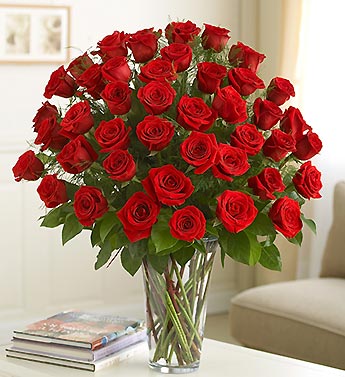 Red roses vase.