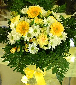 30 white gerberas vase.