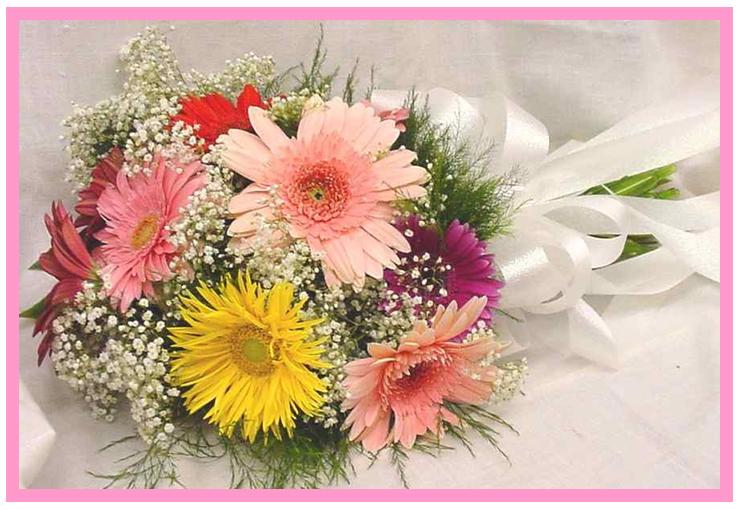 12 Gerberas in a bouquet.