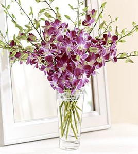 Purple orchids vase.