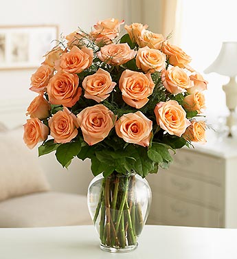 12 Orange roses vase