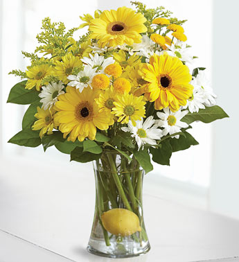 Yellow gerberas vase.