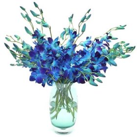 Blue orchids vase.