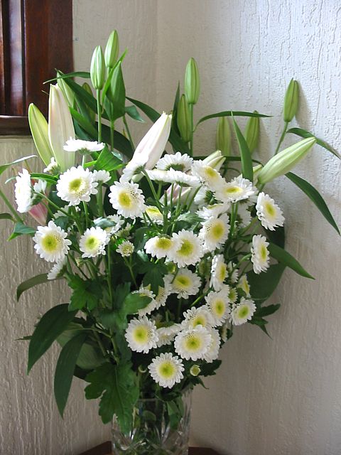 150 white flowers vase.