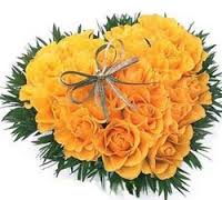 24 yellow roses heart