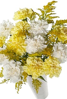 12 yellow carnations.