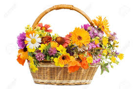 Flowers in a basket