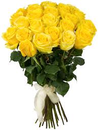 24 Yellow roses in a bouquet