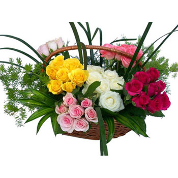 150 multicolor roses basket