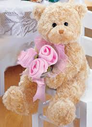 2 feet teddy 3 pink roses