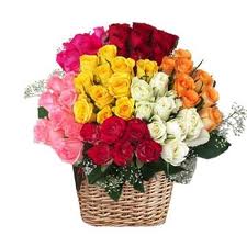 200 multicolor roses