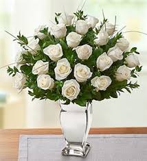 36 White roses vase