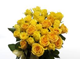 36 Yellow roses in a bouquet
