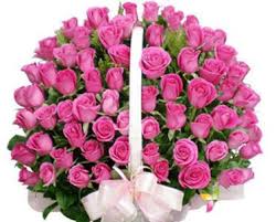 150 pink roses basket