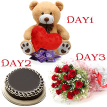 Day1 heart 6 inch teddy Day2 1/2 kg chocolate cake Day3 12 Red roses